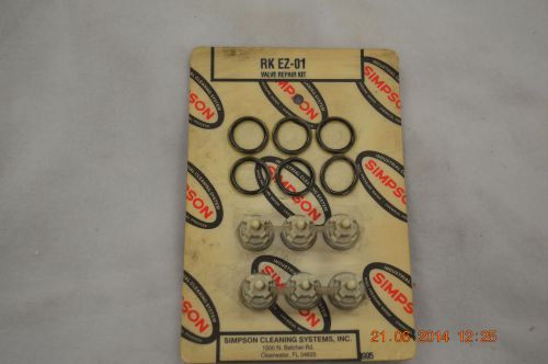Simpson cleaning systems valve repair kit rk ez-01  **new**  oem for sale