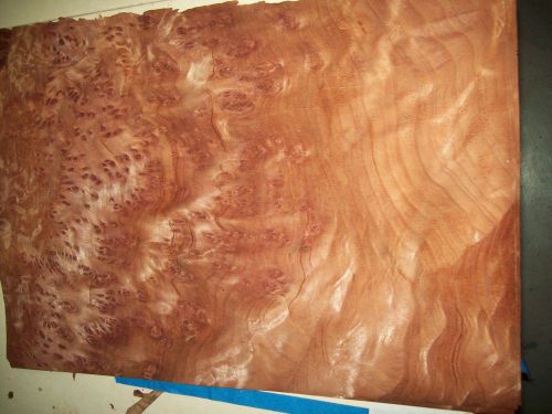 redwood burl veneer 6 @ 12 x 21 [2669