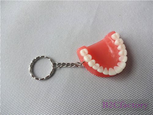1PCS Teeth Model Keychain for Dentist Mobile Chain Dental Gift Online