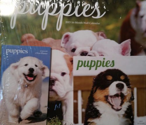 2015 16 Month PUPPIES Calendar Lot - 12x11 Wall, Mini &amp; Pocket Planner NEW Dogs