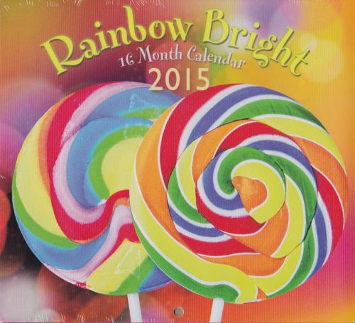 2015 Rainbow Bright Mini Wall 16 Month Calendar Colors Studio 18