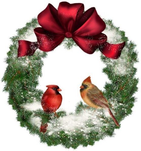 30 Personalized Return Address Labels Christmas Birds Buy 3 get 1 free (zz7)