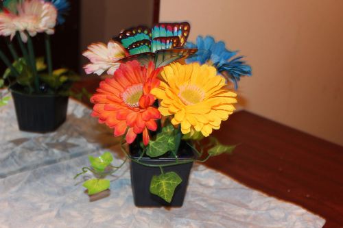 Flower pen pots of mixed daisies+on your desk=a step to an enjoyable work place. for sale