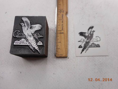 Printing Letterpress Printers Block, Ring Neck Pheasant Bird Flying Up