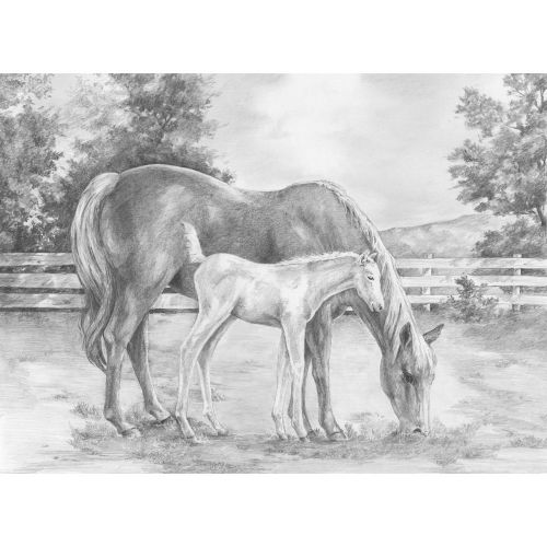 Engraving tools brush sketching made easy large kit 16x12.75 horse &amp; calf for sale