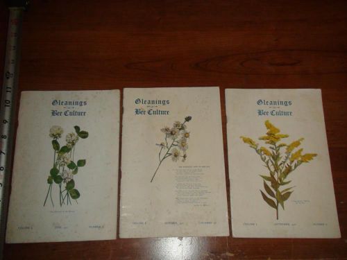 BX612 Vintage LOT of 3 1922 Issues of Gleanings in Bee Culture