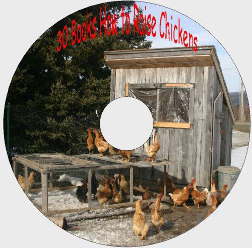 Raise Chickens Backyard &amp; Farm Poultry -  How to Build a Coop 30 Old Books CD