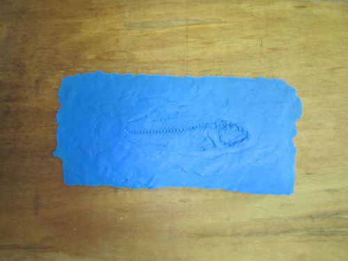New Matcrete Fish Fossil Concrete Stamp / Texture Mat