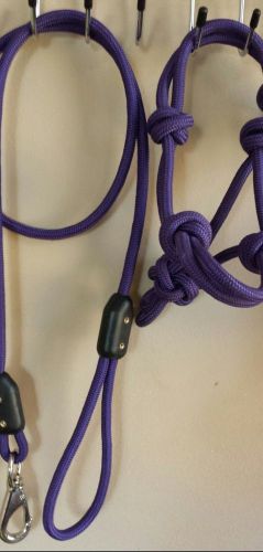 Goat halter and lead , custom handtied rope halter and lead for goats for sale