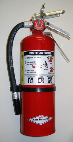 amerex fire extinguisher ABC