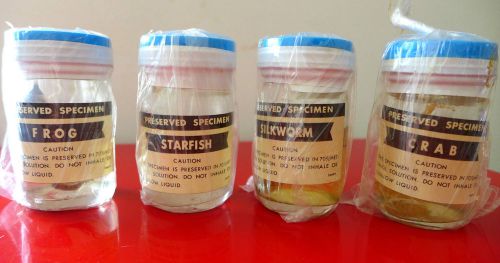 Four bottles with chemically preserved specimens.