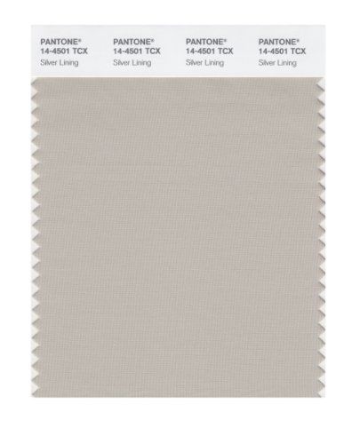 Pantone smart 14-4501x color swatch card, silver lining for sale