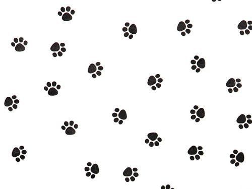 1 X Paw Print Tissue Paper 20&#034; X 30&#034; - 24 Sheet Pack