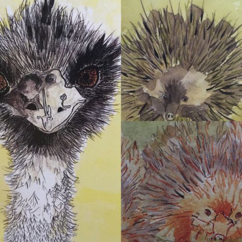 Australian Wildlife Greeting Cards X 3 Echidna&#039;s and Emu
