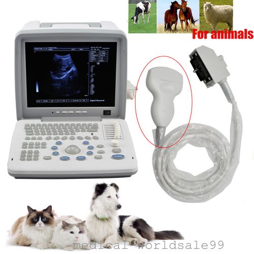 12.1&#039;&#039; Vet/Animals Ultrasound Scanner/Machine Convex Curved Transducer Probe+3D