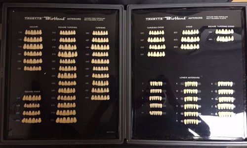 Trubyte Bioblend Mould Guide Porcelain