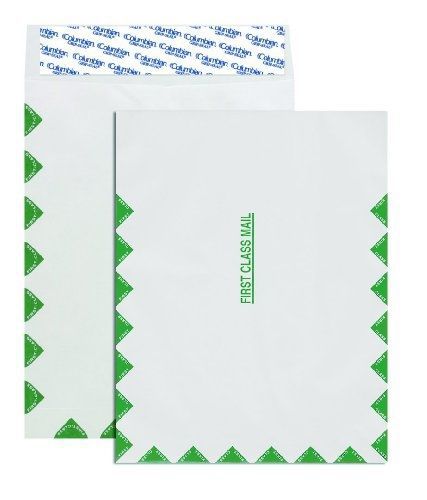 Columbian co806 10x13-inch tyvek first class mail white envelopes, 100 count for sale