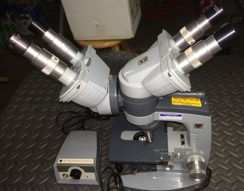 AO American Optical Spencer Stereo  Microscope Dual Viewing Head  Teacher