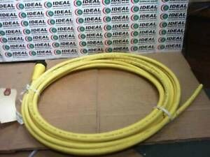LUMBERG AUTOMATION RK80M65030F CABLE NEW