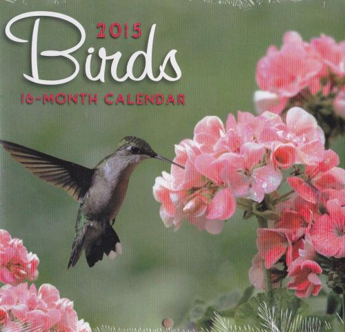 2015 BIRDS Mini Desk Calendar NEW &amp; SEALED Hummingbird Woodpecker