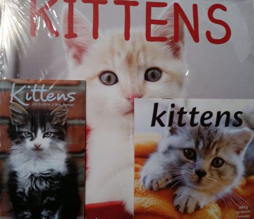 2015 KITTENS Wall Calendars Lot Full, Mini Desk, &amp; Pocket Planner NEW Cute Cats