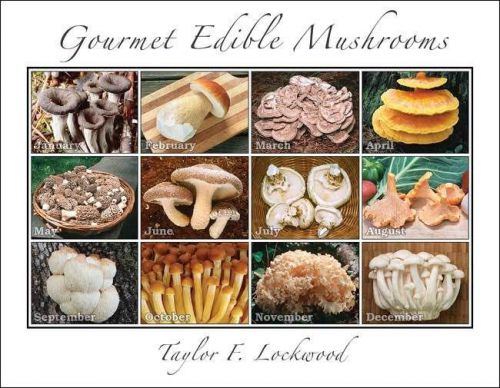 2015 Gourmet Mushroom Calendar, by Taylor Lockwood