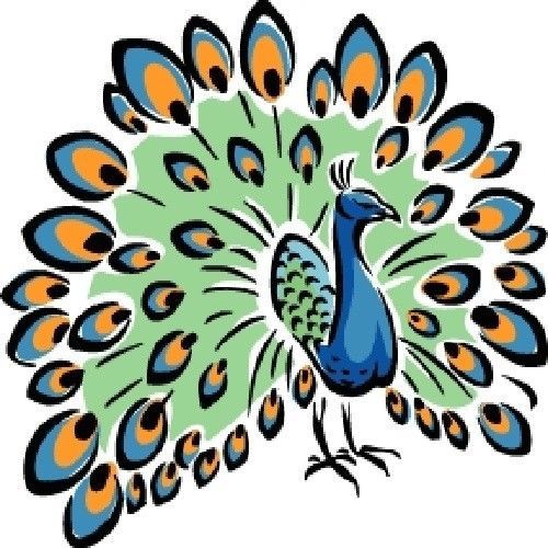 30 Custom Colorful Cartoon Peacock Personalized Address Labels