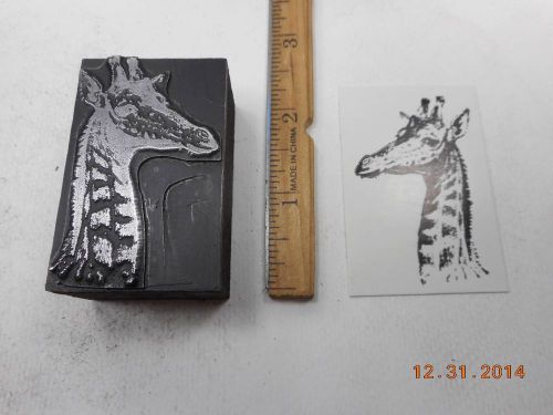 Letterpress Printing Printers Block, Wonderful Giraffe Head w Long Neck