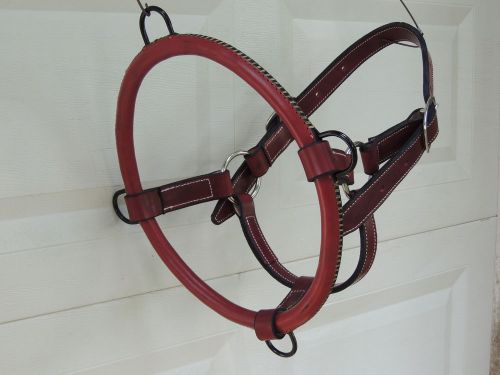 Equine Horse Dental Halter Leather With Metal Ring