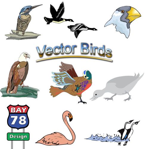1300+ Vector Birds Clipart CD EPS JPG PDF Vinyl Cutter Graphics Bay78 Designs