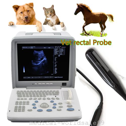 12.1 veterinary animal ultrasound scanner/machine trans-rectal transducer probe for sale