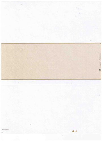 2000 Blank Business Checks Gold Middle Position
