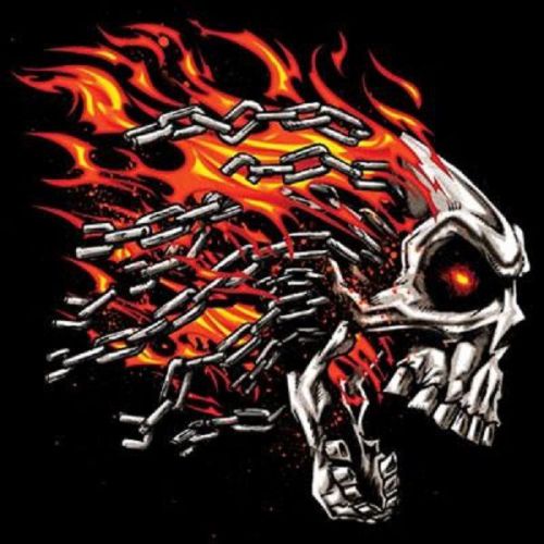Flame Chain Skull HEAT PRESS TRANSFER for T Shirt Sweatshirt Tote Fabric 042o