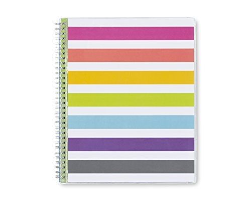 Blue Sky Today&#039;s Teacher &#034;Stripes&#034; Create Your Own Cover Academic Year 16/17