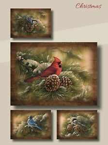 Card-Boxed-Christmas-Winter Birds w/Scripture (Box Of 12)