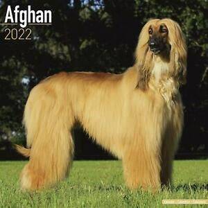 Afghan Calendar 2022 by Avonside