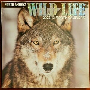 2022 North America Wild Life 12 Month 12x12 Wall Calendar Monthly Planner Agenda