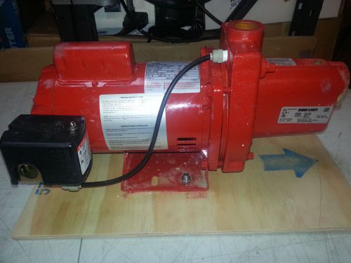 Red Lion RJS-100 Shallow Well Jet Pump, Cast Iron, 1-HP 24-GPM 34742-5
