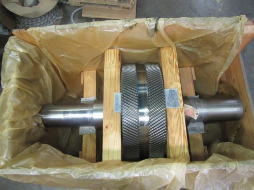 Lufkin 2 ls gear shaft assembly assembly gear bm144317 n290 c-6531 new for sale