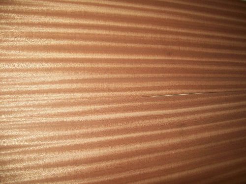 ribbon sapeles veneer 12 @ 7.5 x 37 [2667