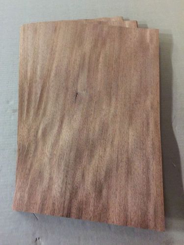 Wood Veneer Hon Mahogany 11x19 14 Pieces Total Raw Veneer &#034;EXOTIC&#034; MAH1 1-8-15