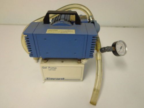 Savant Electrophoresis Gel Pump GP100