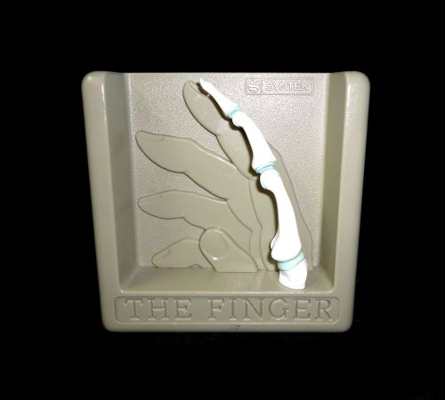 Syntex - Human Hand - The Finger Anatomical Teaching Model