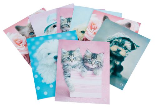 Miles kimball rachel hale cat &amp; dog notecards  for sale