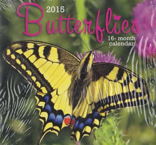 2015 BUTTERFLIES Mini Desk Calendar NEW Scenic Outdoor Nature Animals Butterfly