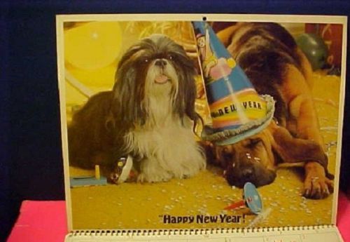 Vintage 2015 Mighty Dog Calendar  from 1981  yellow flowers