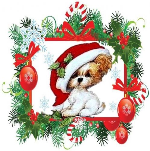 30 Personalized Christmas Animals Return Address Labels Gift Favor Tags (xa13)