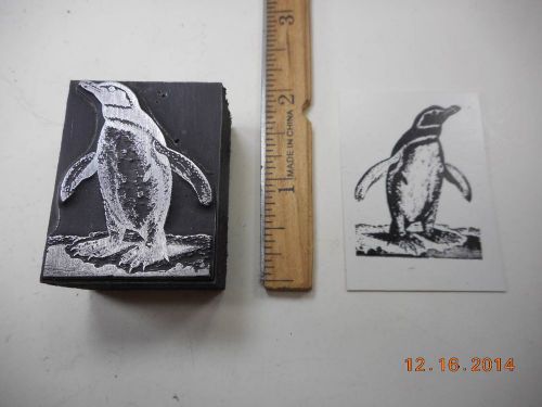 Letterpress Printing Printers Block, Cute Magellanic Penguin Bird