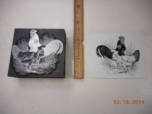 Letterpress Printing Printers Block, Farm Chicken, Rooster &amp; Hen, Poultry, Fowl
