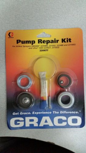 Grayco Pump Repair Kit 220877